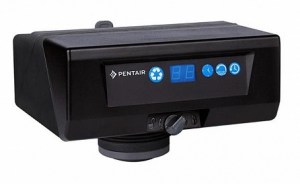 Клапан Pentair 363/604 Filter, 7 gpm 61949
